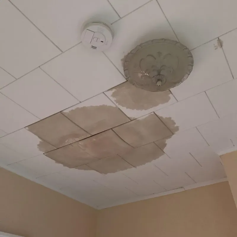 Ceiling Water Damage Repair in Thomson, GA